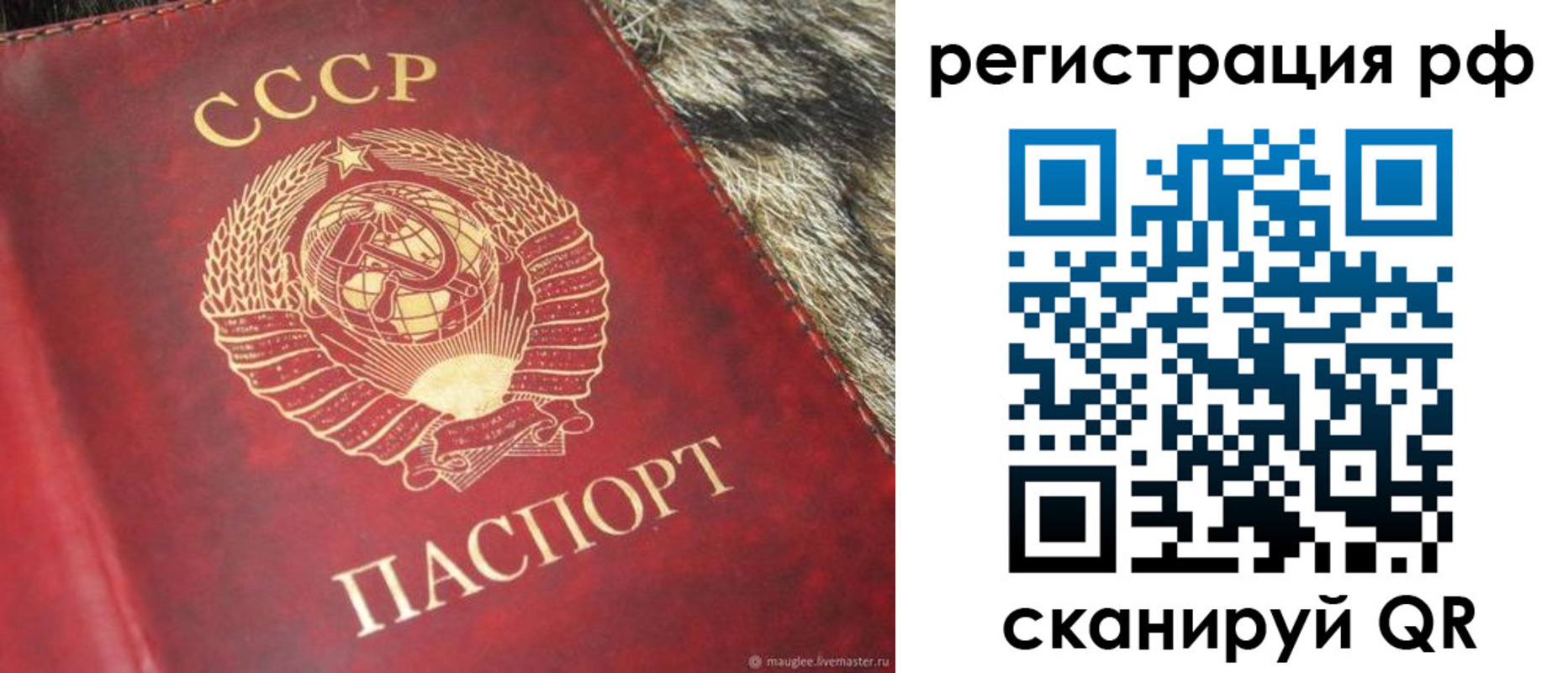 временная регистрация госуслуги в Великих Луках